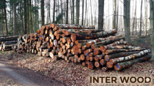 Birken-Stammholz 30-33 cm · LKW-Ladung Polen INTER WOOD