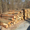 Eichen-Stammholz 30-33 cm · LKW-Ladung Polen INTER WOOD