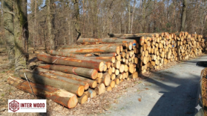 Eichen-Stammholz 30-33 cm · LKW-Ladung Polen INTER WOOD