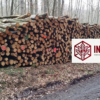 Buchen-Stammholz 40 RM auf LKW · INTER WOOD frei Haus DE