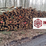 Buchen-Stammholz 40 RM auf LKW · INTER WOOD frei Haus DE