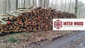 Buchen-Stammholz 40 RM auf LKW · INTER WOOD frei Haus DE