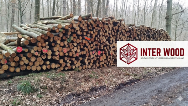 Buchen-Stammholz 40 RM auf LKW · INTER WOOD frei Haus DE