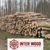 Eschen-Stammholz 30-33 cm · LKW-Ladung Polen INTER WOOD
