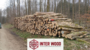 Eschen-Stammholz 30-33 cm · LKW-Ladung Polen INTER WOOD