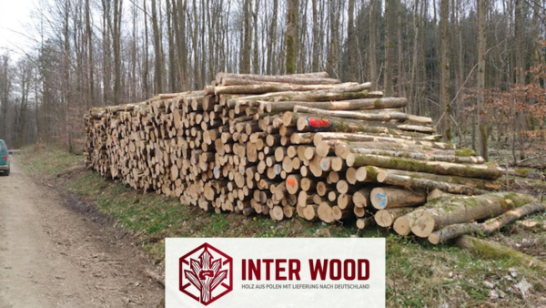 Eschen-Stammholz 30-33 cm · LKW-Ladung Polen INTER WOOD