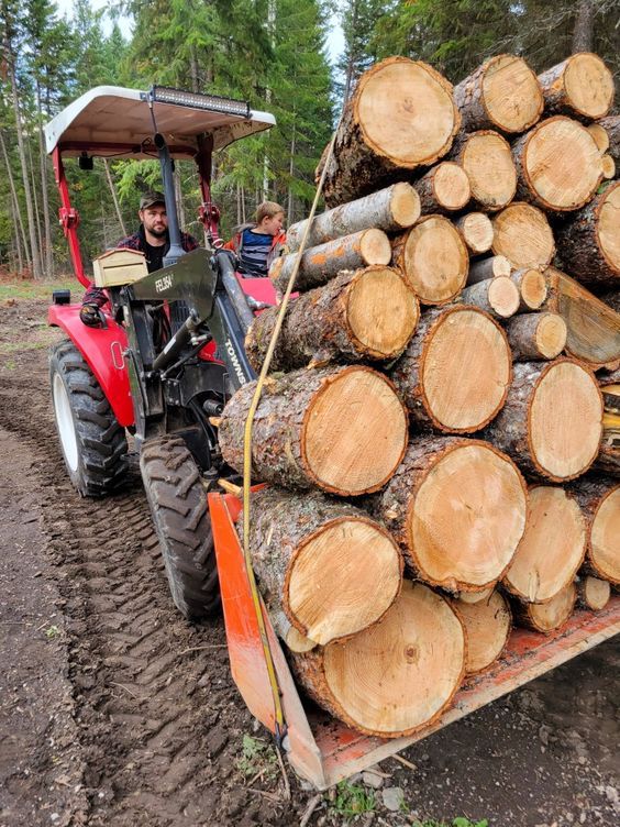 Nachhaltige Forstwirtschaft